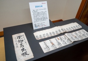 SBJ02511