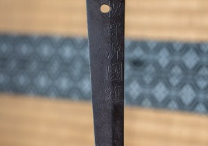 SBJ02523
