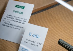 SBJ02525
