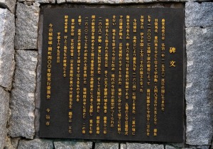 DSC03118