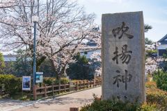 DSC03865