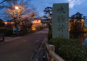 SBJ05982