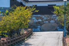 SBJ06058