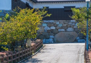 SBJ06058