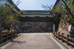 SBJ06066