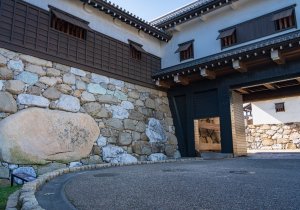 SBJ06070