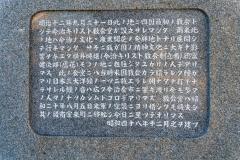 SBJ06428