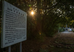 DSC01460