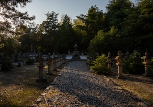 DSC01466