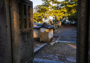 DSC01479