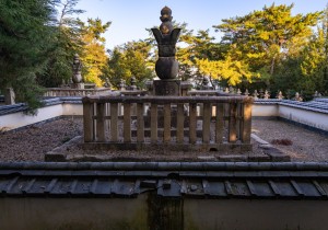 DSC01491