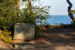 DSC01504