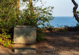 DSC01504