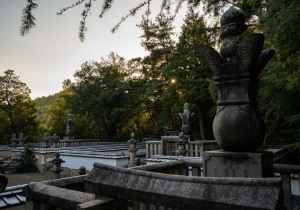 DSC01507