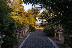 DSC01511