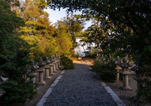 DSC01511