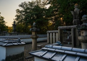 DSC01517