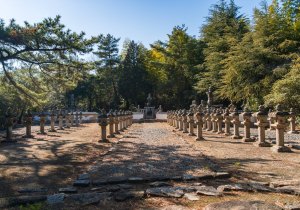 SBJ02302