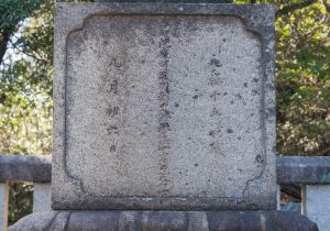 SBJ02346
