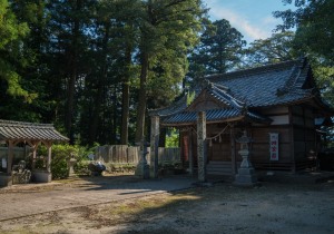 SBJ01868