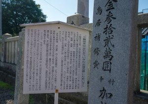 SBJ01881