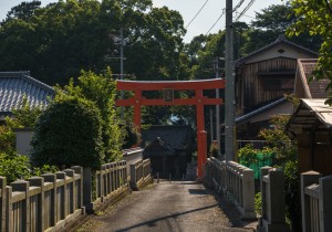 SBJ01910