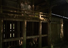 DSC04135