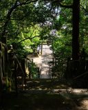 DSC04139