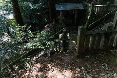 DSC04155