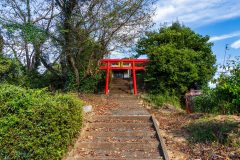 DSC09676