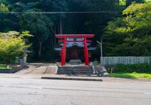 SBJ05215