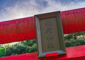 SBJ05219