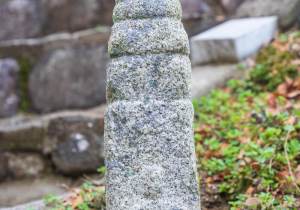 SBJ04244
