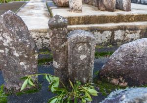 SBJ04255