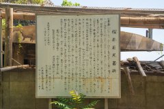 SBJ04933