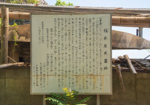 SBJ04933