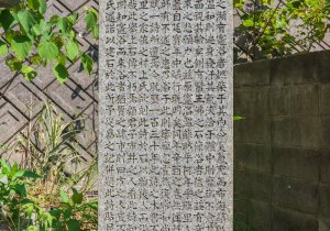 SBJ04935