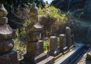 SBJ03513