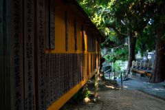 DSC06146