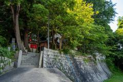 DSC06151