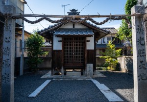 DSC05963