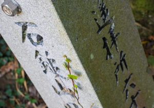 SBJ02036