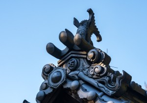 DSC09987