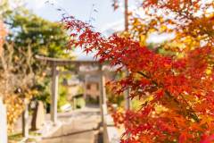 DSC04801