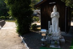 DSC04502