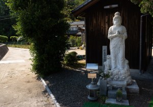 DSC04502