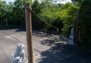 DSC05867
