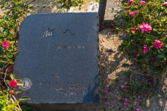 DSC02381