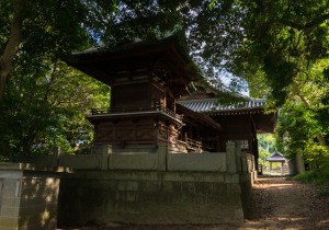 SBJ05353