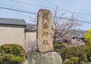 SBJ05616